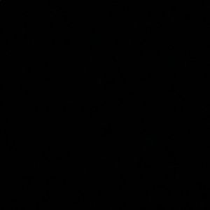 Meet your Posher, Lauryn